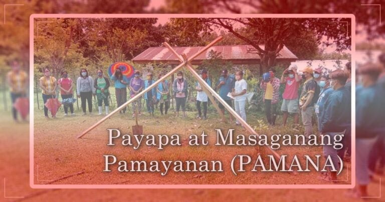 DSWD Payapa at Masaganang Pamayanan (PAMANA) - Assistance.PH